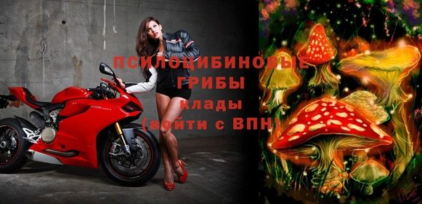 гидропоника Белоозёрский